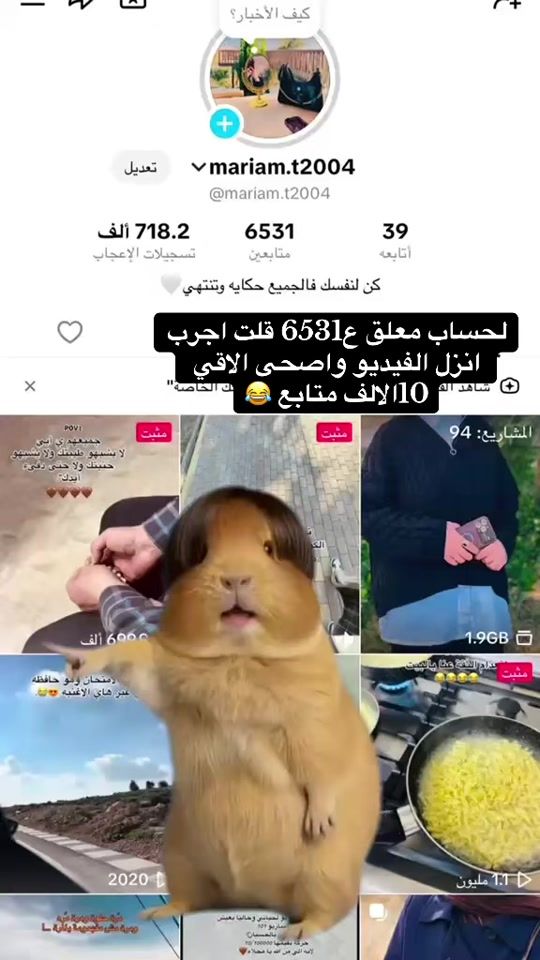 TikTok video thumbnail by mariam.t2004
