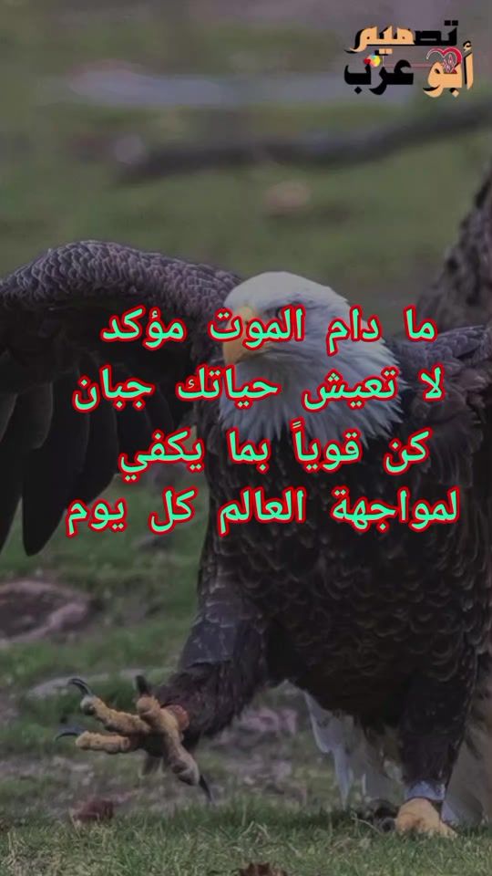 TikTok video thumbnail by alhadu32