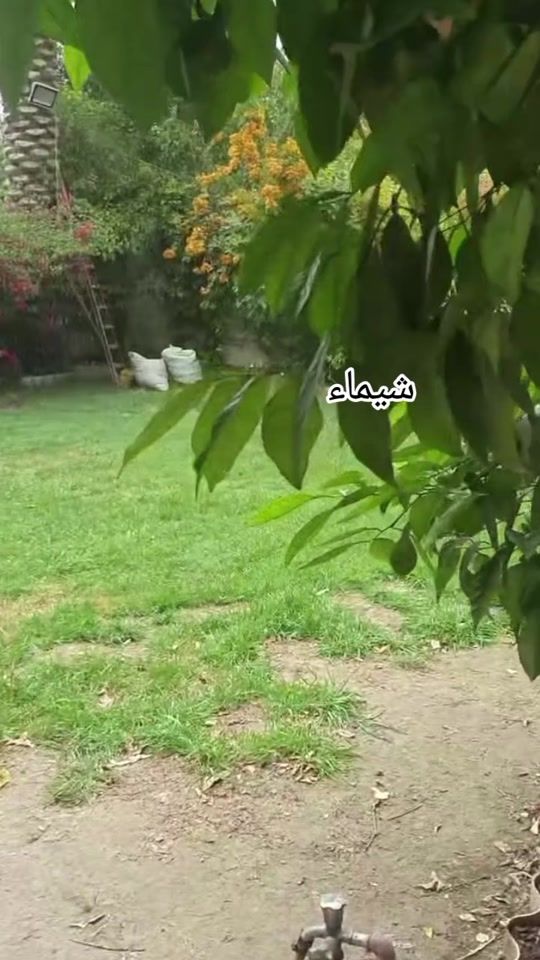 TikTok video thumbnail by f197h