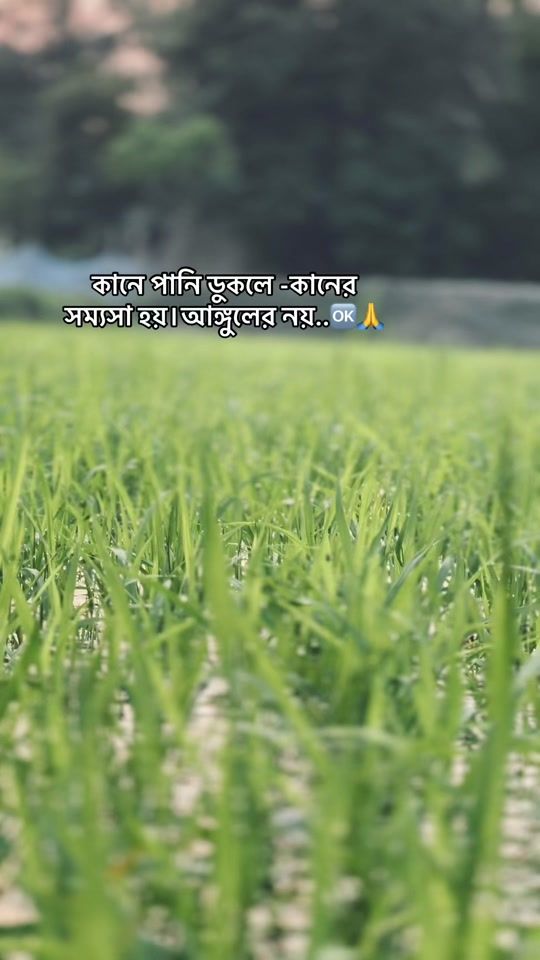 TikTok video thumbnail by mit_avg2