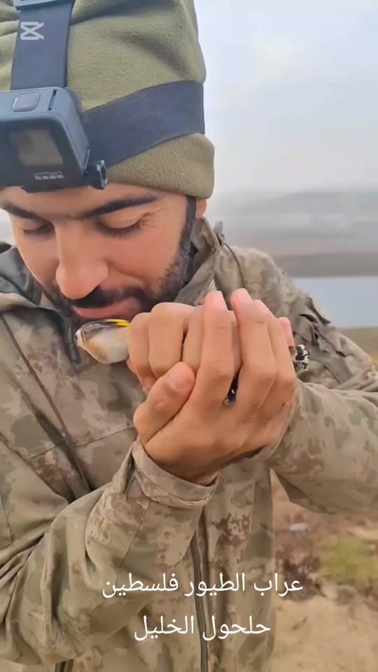 TikTok video thumbnail by user5608101804522