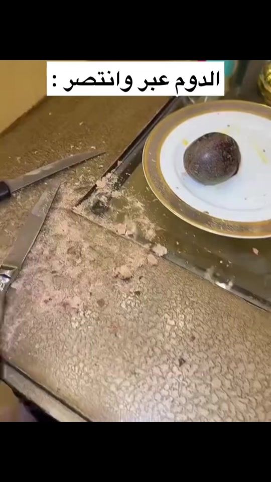 TikTok video thumbnail by dibo_m95