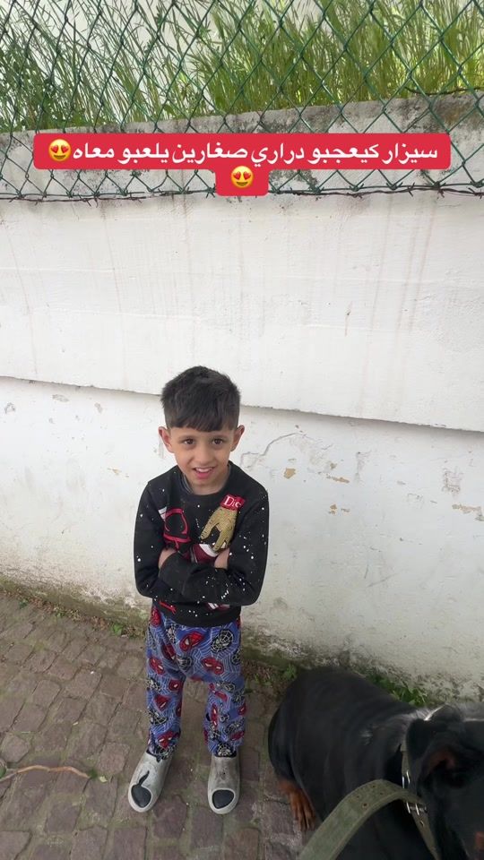 TikTok video thumbnail by khamlichi.rottweiler