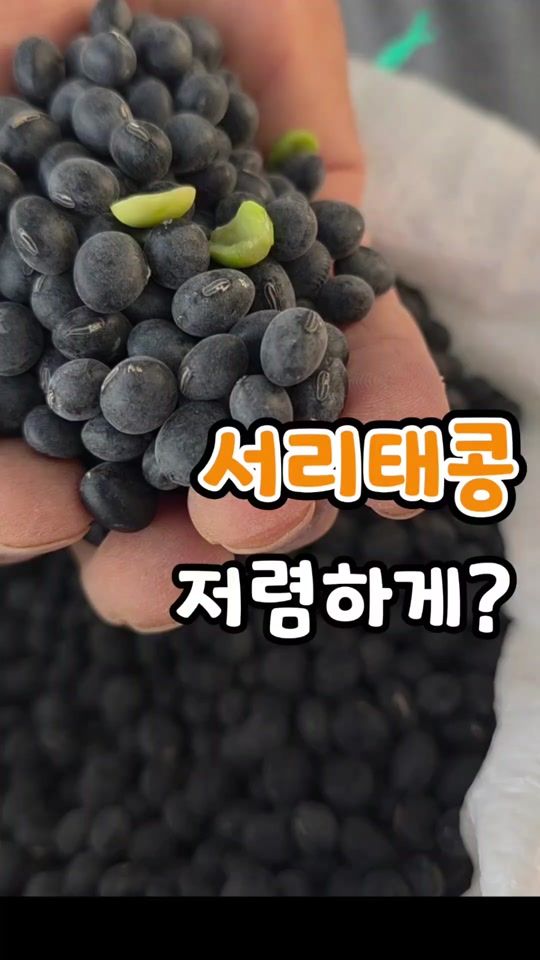 TikTok video thumbnail by son6504