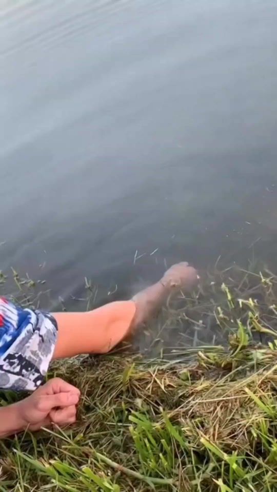 TikTok video thumbnail by jl.lovelu