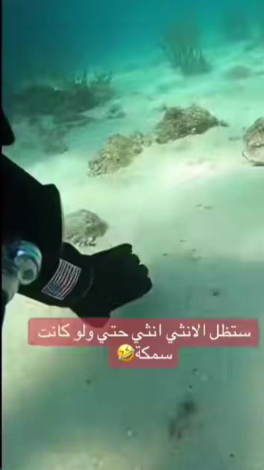 TikTok video thumbnail by marwayousef_
