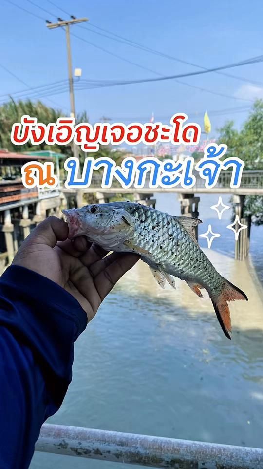 TikTok video thumbnail by sleepless_ch