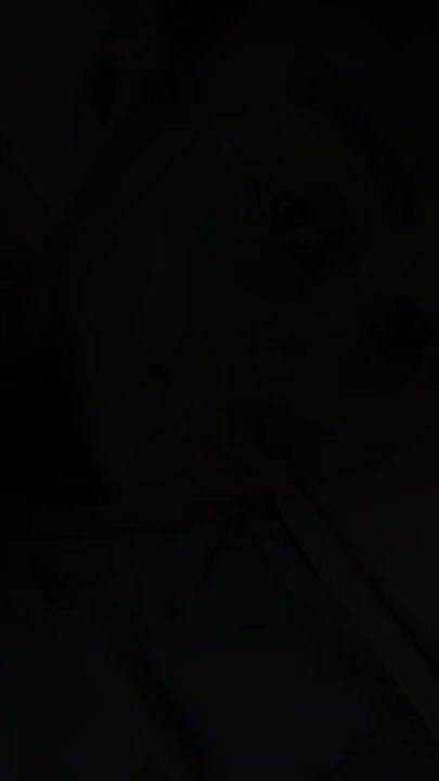 TikTok video thumbnail by ecostudent