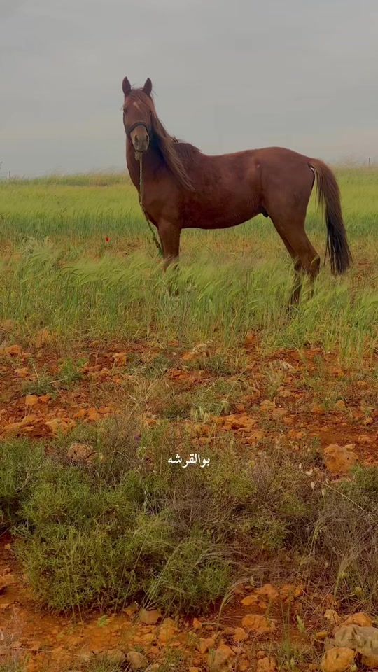 TikTok video thumbnail by e_m_i_d_