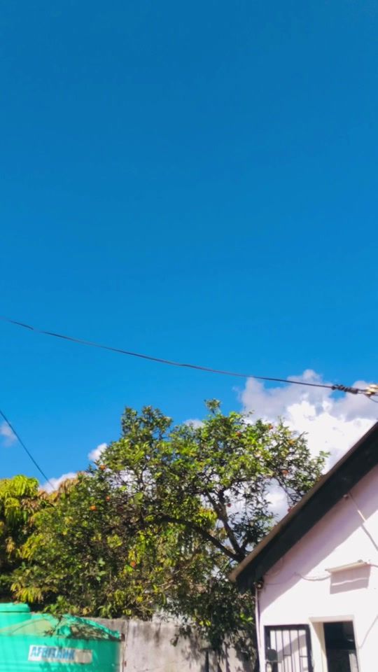 TikTok video thumbnail by onemosquito