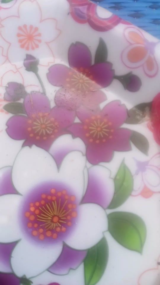 TikTok video thumbnail by bit.mht.cmt