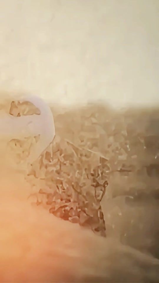 TikTok video thumbnail by talaash_records