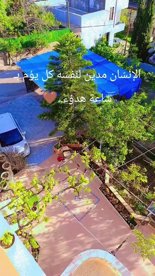 TikTok video thumbnail by r.m123m1