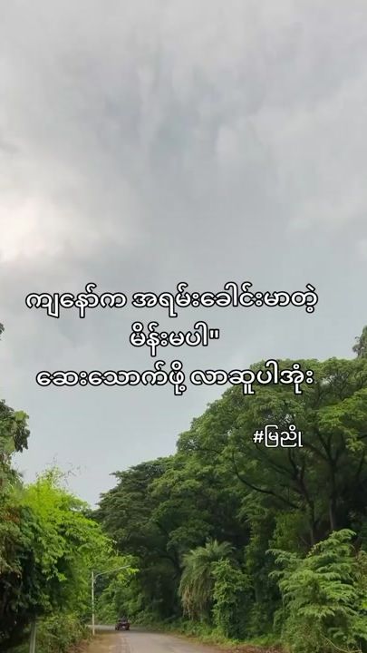 TikTok video thumbnail by elody_vann