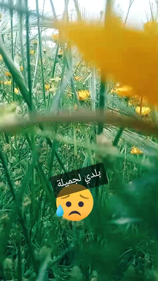 TikTok video thumbnail by user21273928007445