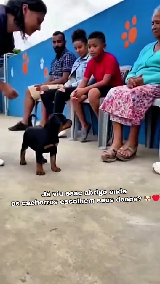 TikTok video thumbnail by nuncafizeramessecanal