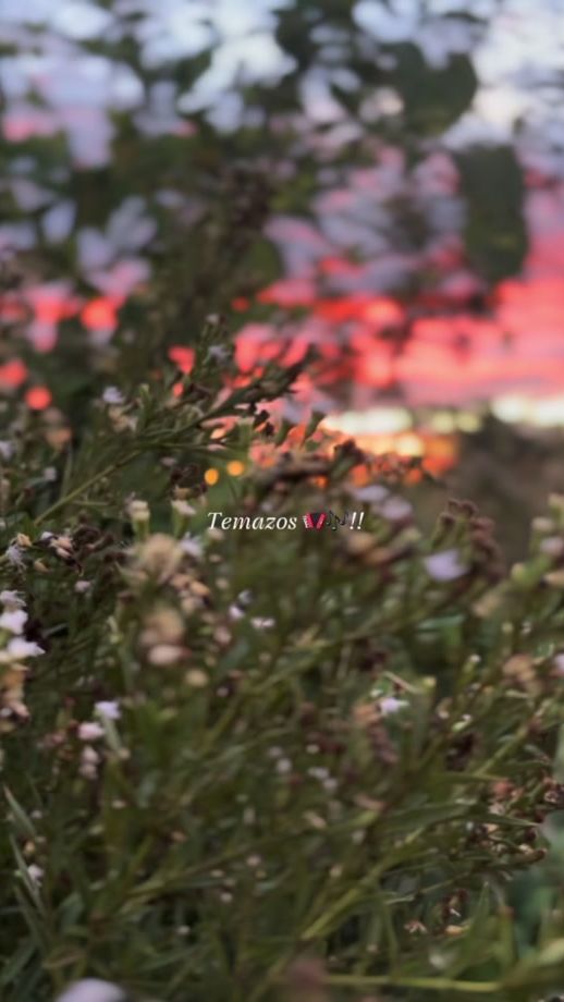 TikTok video thumbnail by ariel__music_py
