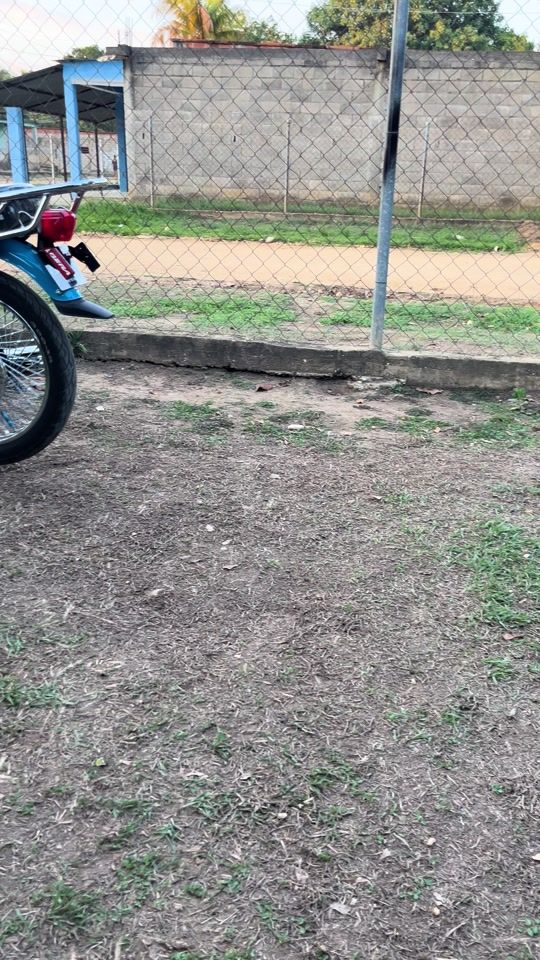 TikTok video thumbnail by wisnton.alvarez