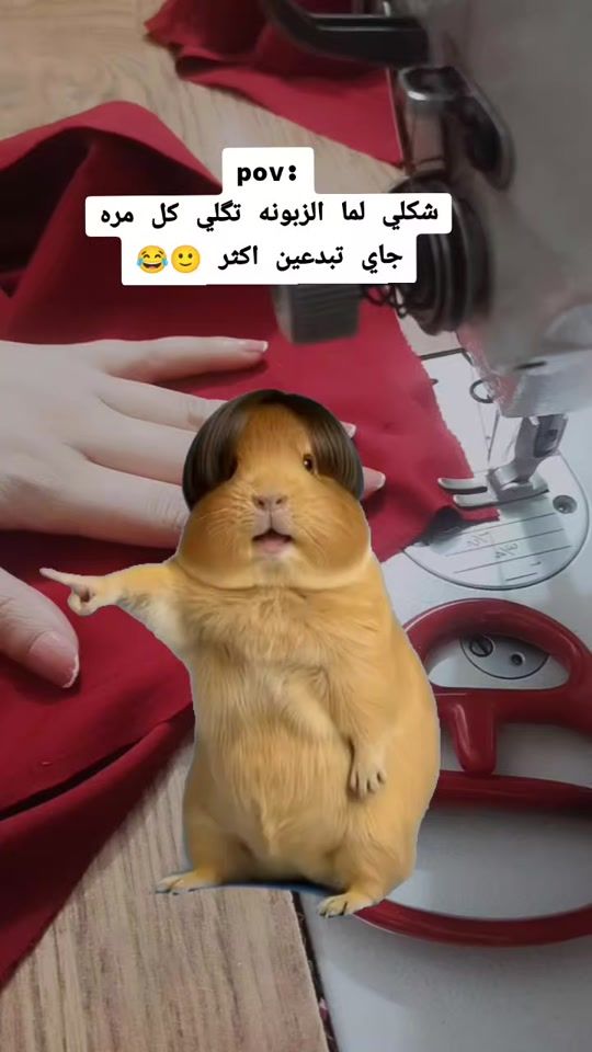 TikTok video thumbnail by asoo2_19