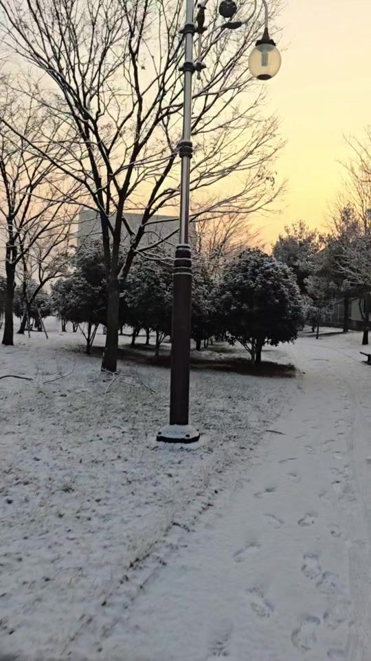 TikTok video thumbnail by puminho009