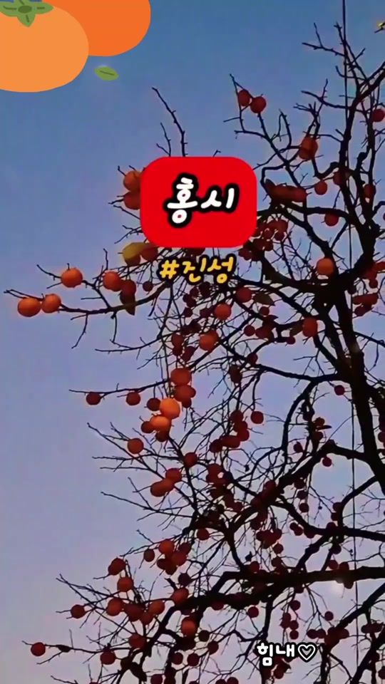TikTok video thumbnail by smile77ab