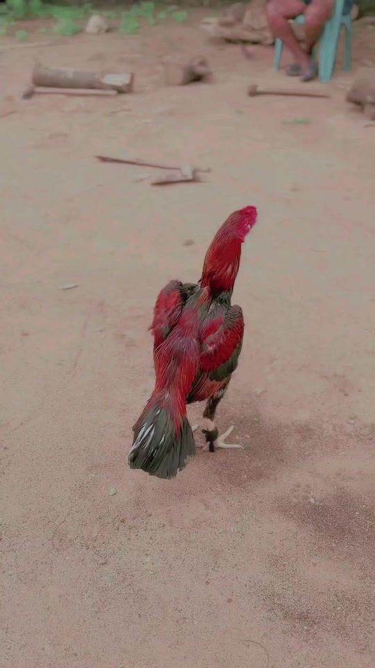 TikTok video thumbnail by unity.aseel
