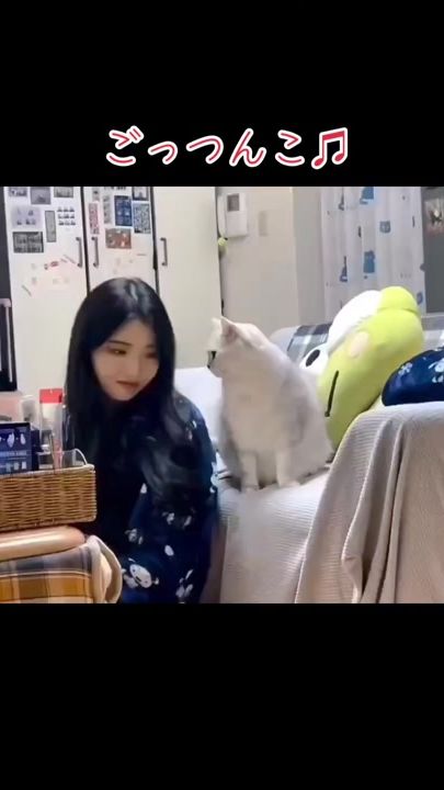 TikTok video thumbnail by animaruiyashi