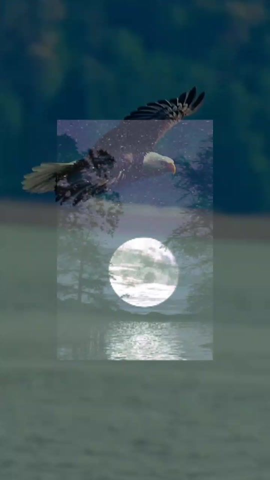 TikTok video thumbnail by el.nio5566