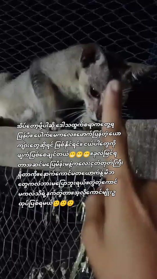TikTok video thumbnail by user58481010361815