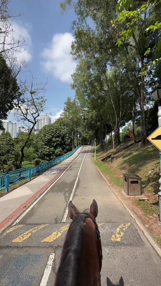 TikTok video thumbnail by unitberkudadbkl