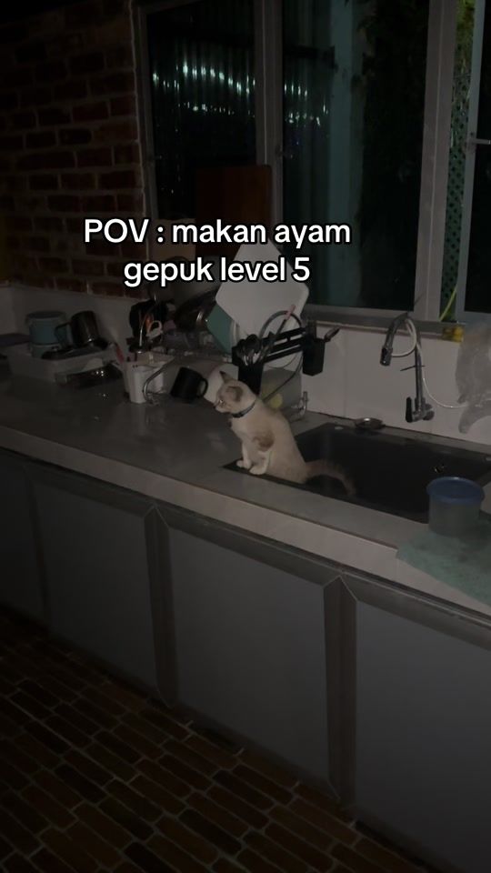 TikTok video thumbnail by lulumulus