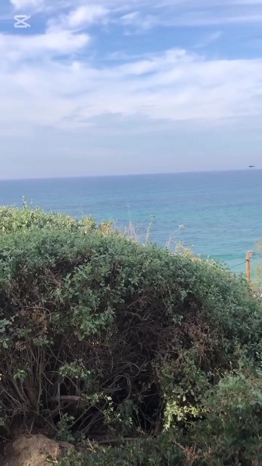 TikTok video thumbnail by user9545241511614
