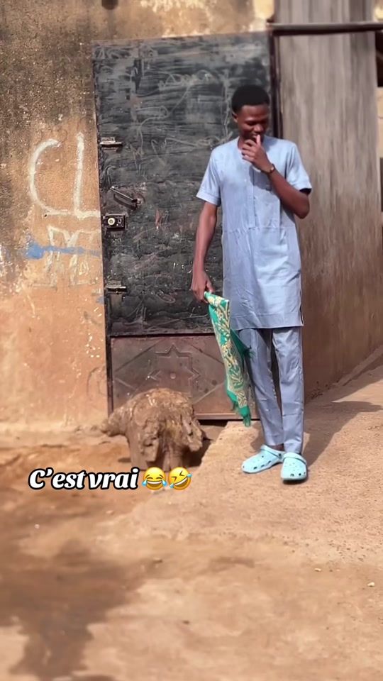 TikTok video thumbnail by chez.bron