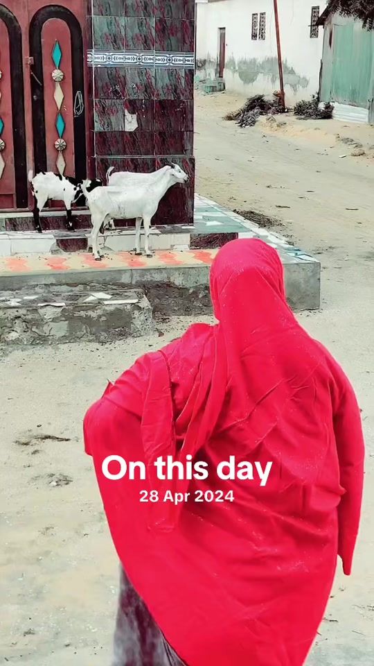 TikTok video thumbnail by geenyada72