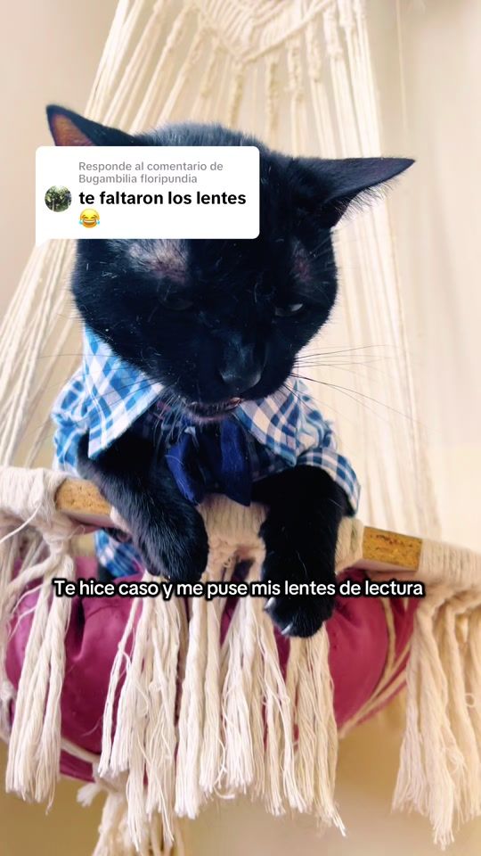 TikTok video thumbnail by elgatojojo