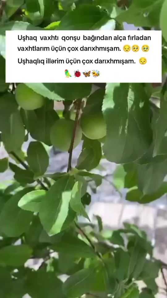 TikTok video thumbnail by ayn6667