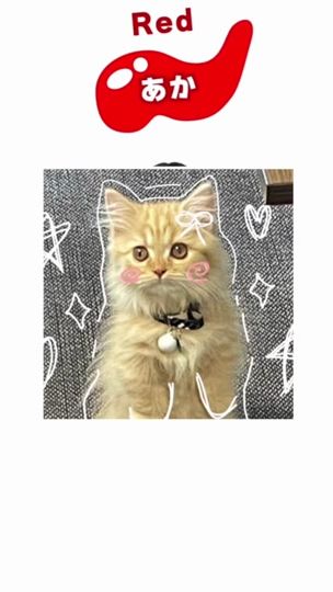 TikTok video thumbnail by riuuuchan