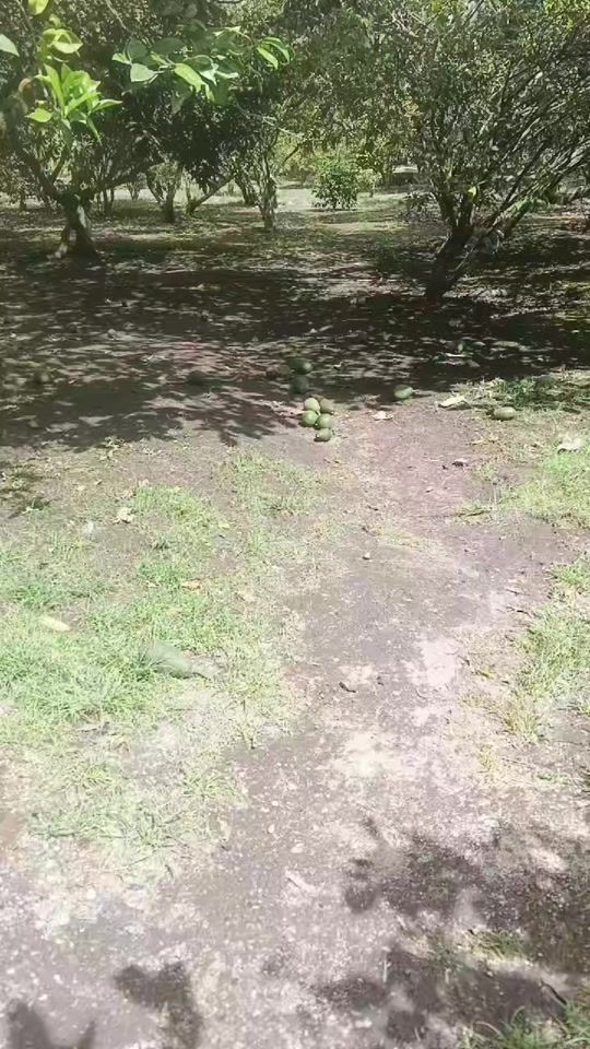 TikTok video thumbnail by angygubiom