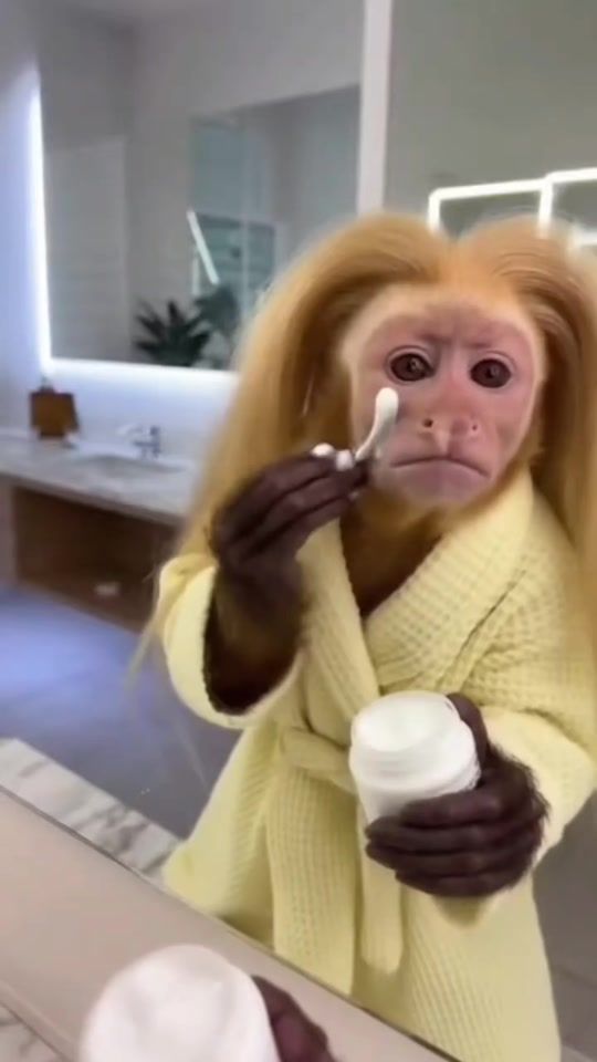 TikTok video thumbnail by .b.a84