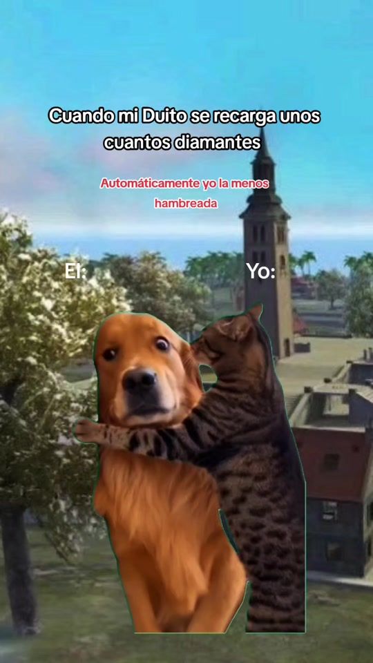 TikTok video thumbnail by patty_jb5