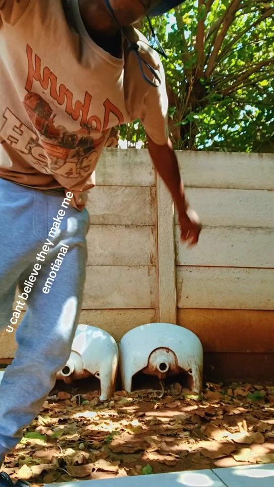 TikTok video thumbnail by zoskie.wa.ma2k