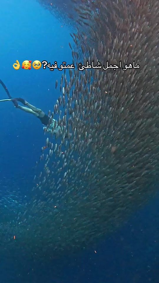 TikTok video thumbnail by amiix52