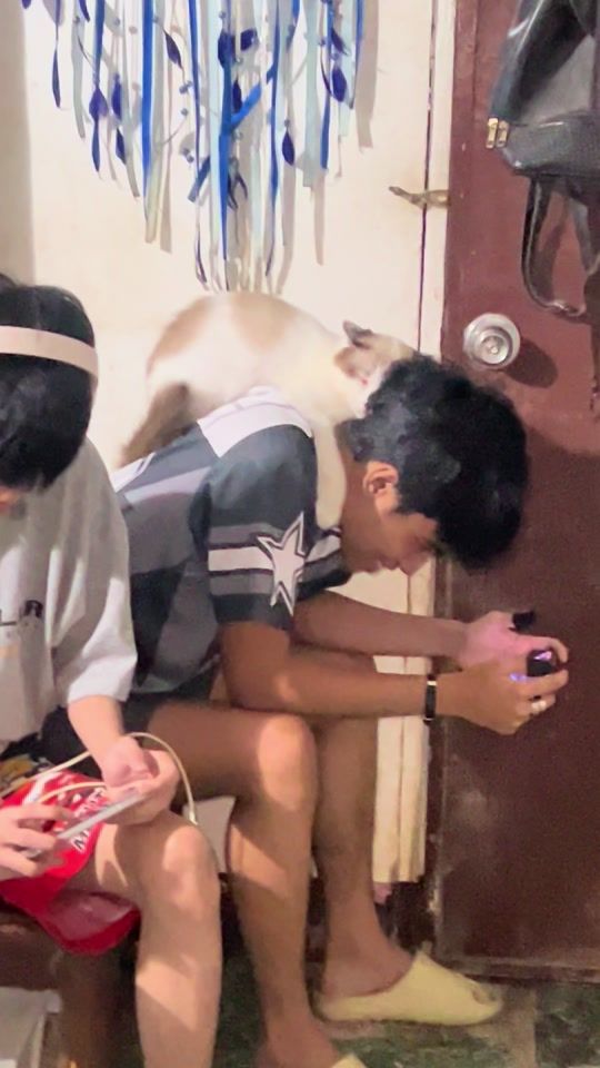 TikTok video thumbnail by __iamidraaah__