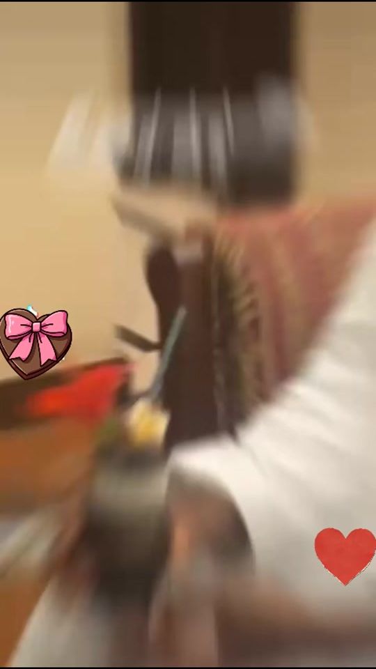 TikTok video thumbnail by khalidalliy34