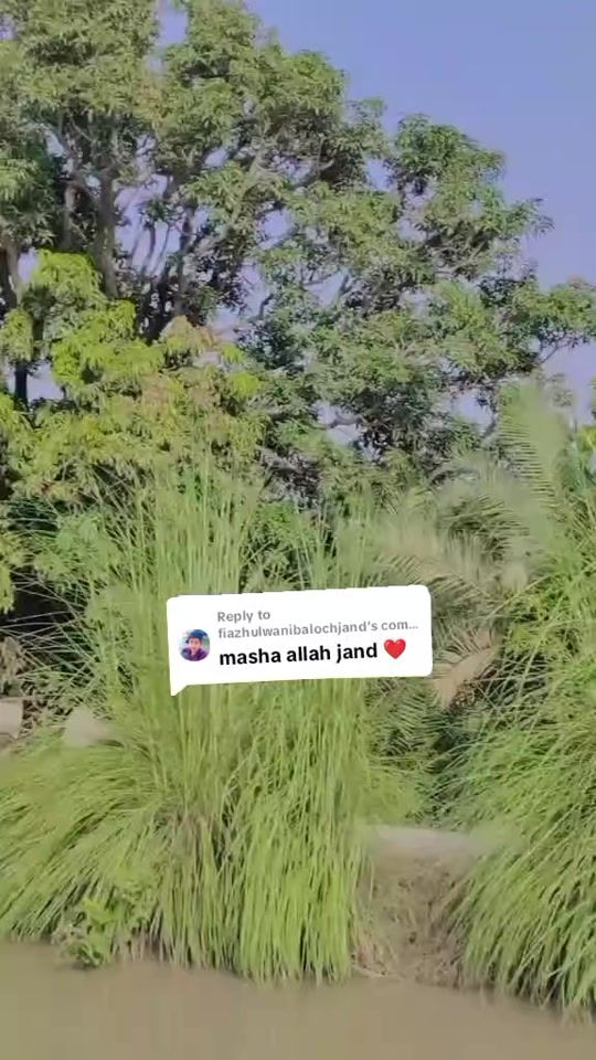 TikTok video thumbnail by malik.mubashir.thaeem