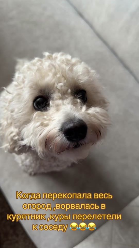 TikTok video thumbnail by natalia_ritual