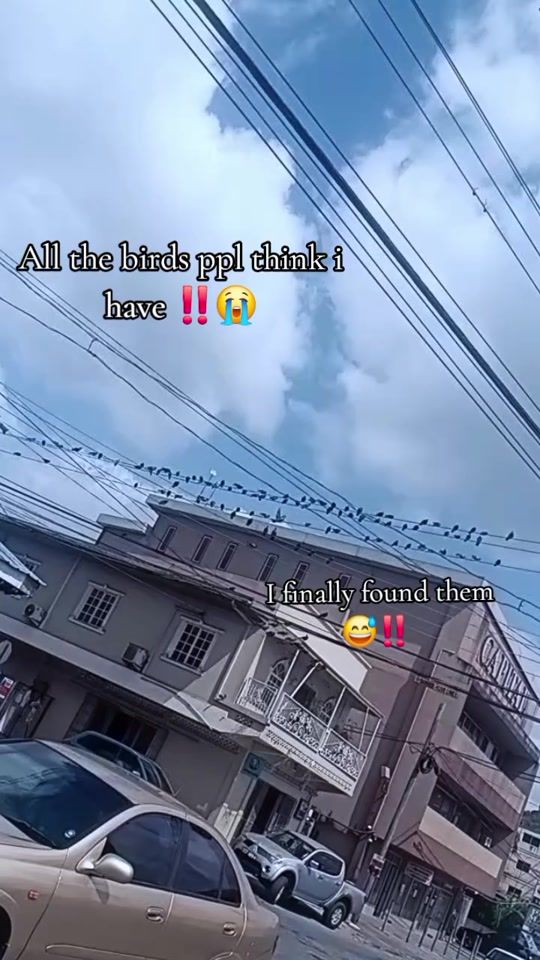 TikTok video thumbnail by leana_fake_smile