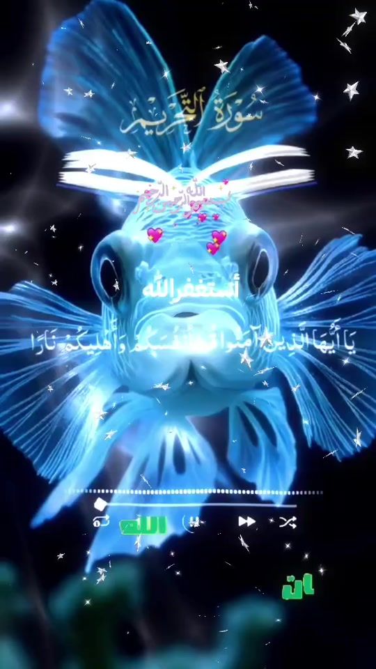 TikTok video thumbnail by wahid.1.1