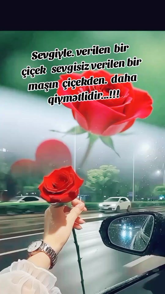 TikTok video thumbnail by metanet__metanet