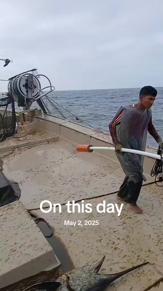 TikTok video thumbnail by marjanuddin13